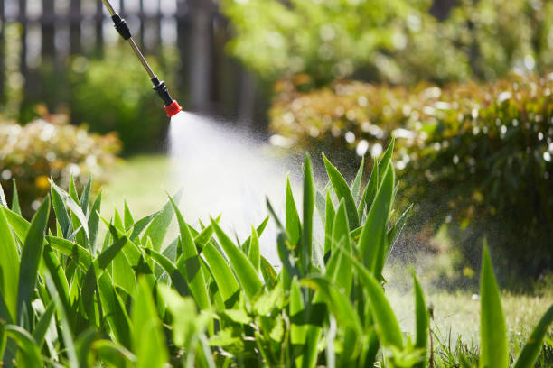 24/7 Emergency Wasp Removal experts in Miramar, FL