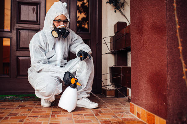 Reliable Wasp Removal contractor in Miramar, FL by Show Me Pest Control